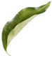 NOVO! Snaqs čips